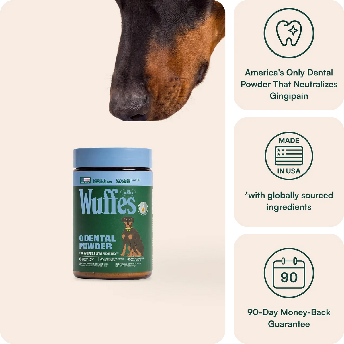 Dental Powder