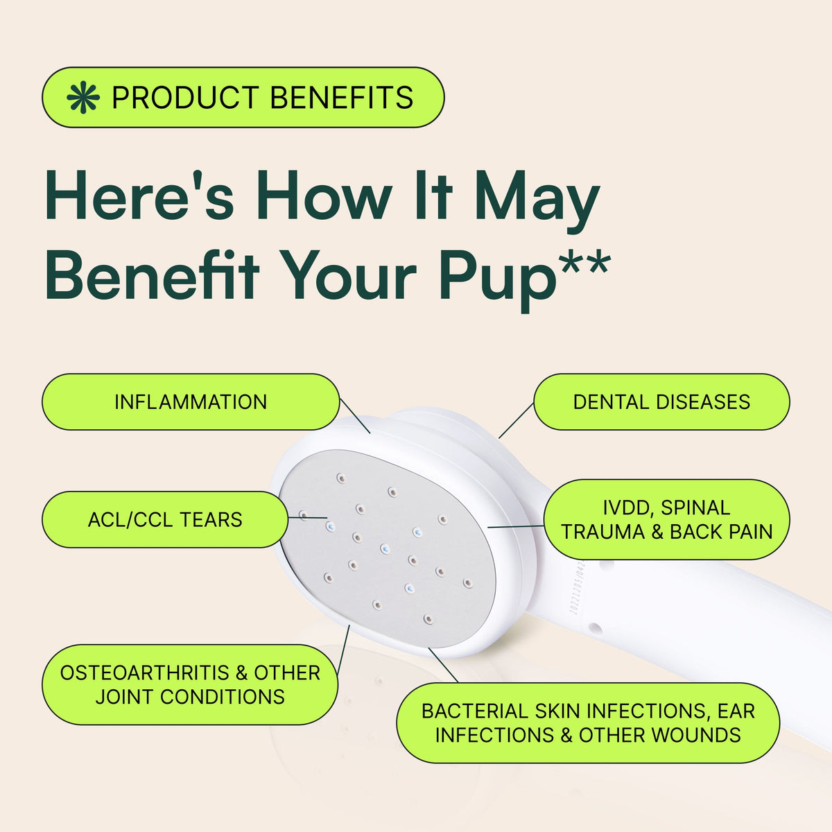Allergy & Itch Chew