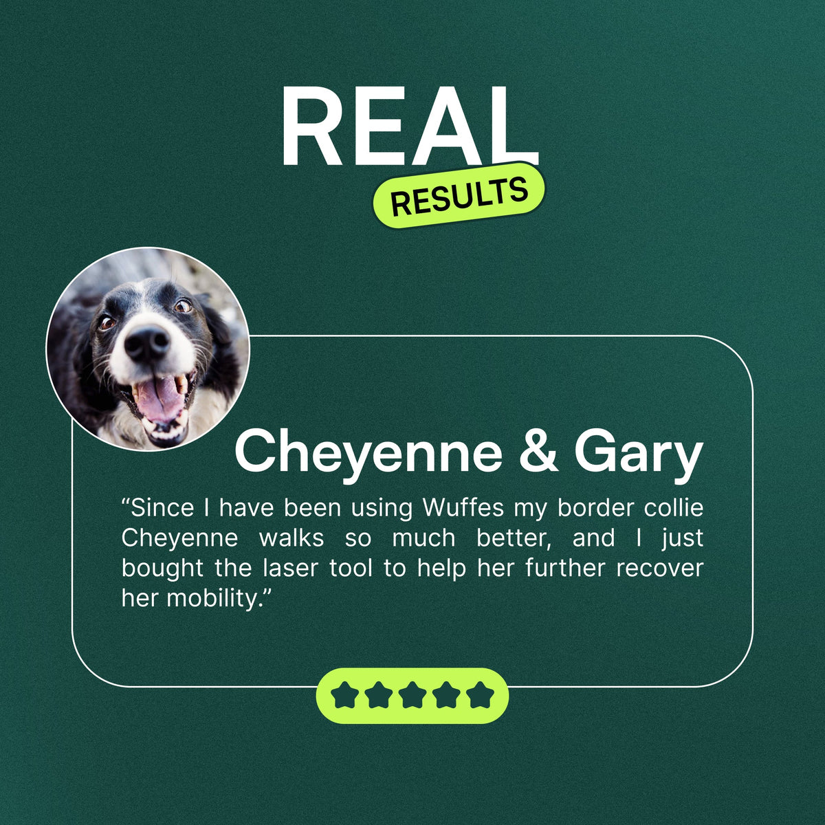 Allergy & Itch Chew
